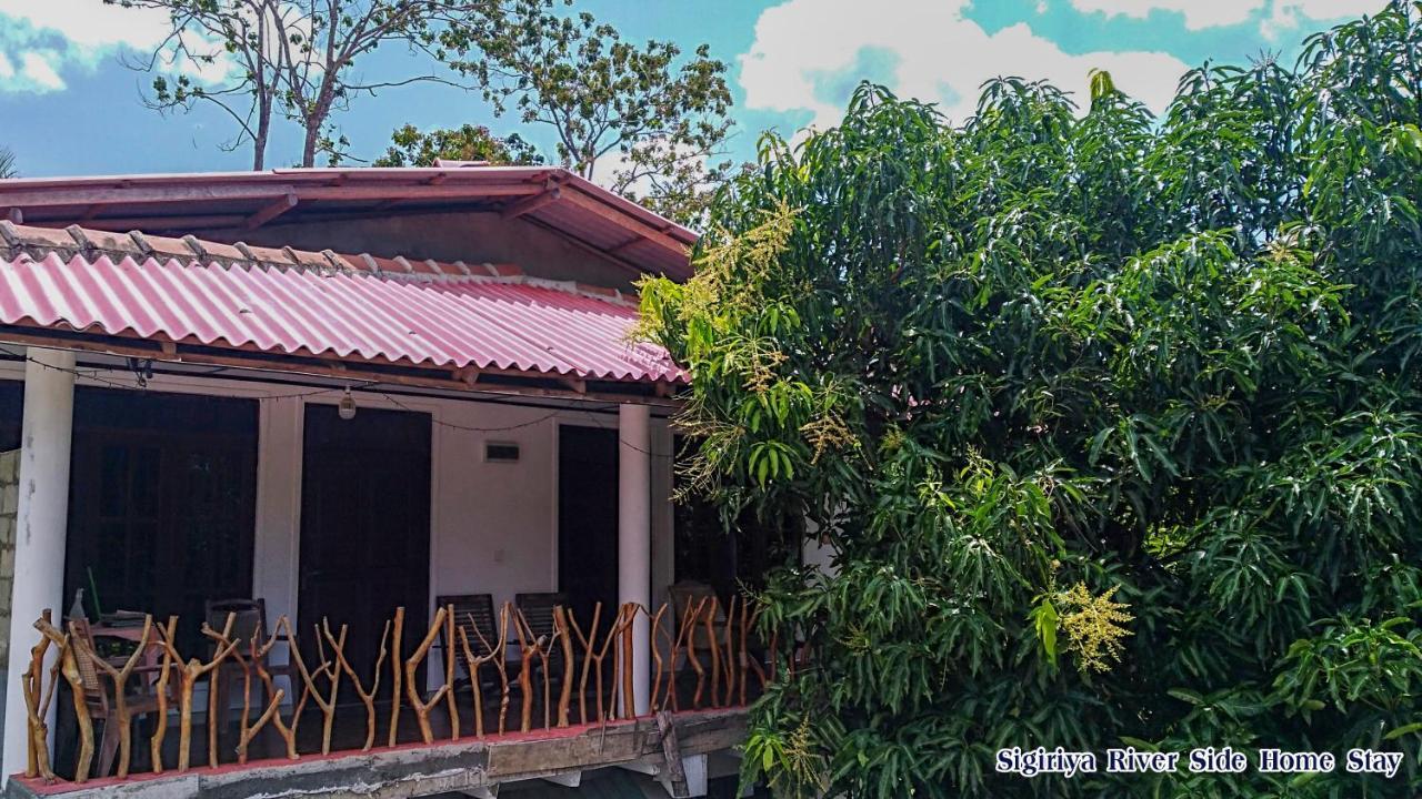 Sigiriya River Side Home Stay Dış mekan fotoğraf