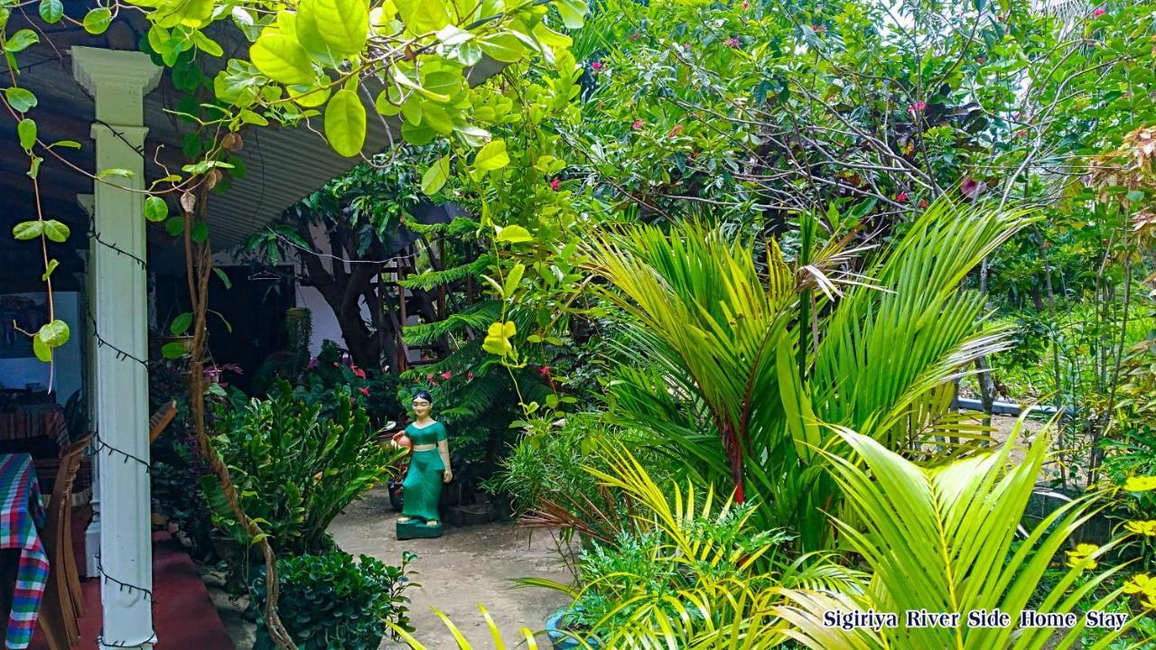 Sigiriya River Side Home Stay Dış mekan fotoğraf