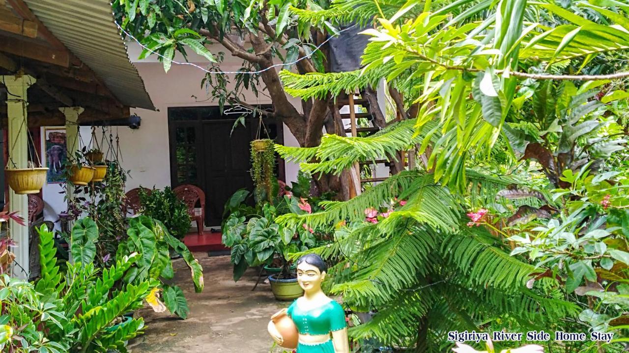Sigiriya River Side Home Stay Dış mekan fotoğraf