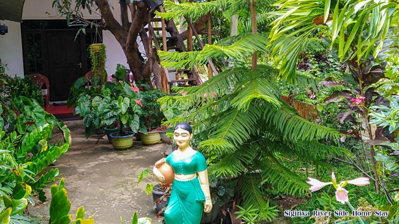 Sigiriya River Side Home Stay Dış mekan fotoğraf