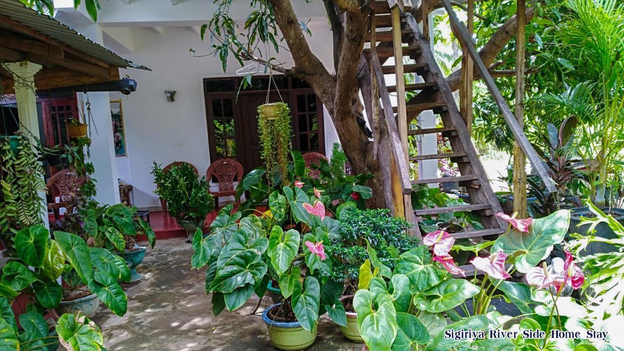 Sigiriya River Side Home Stay Dış mekan fotoğraf