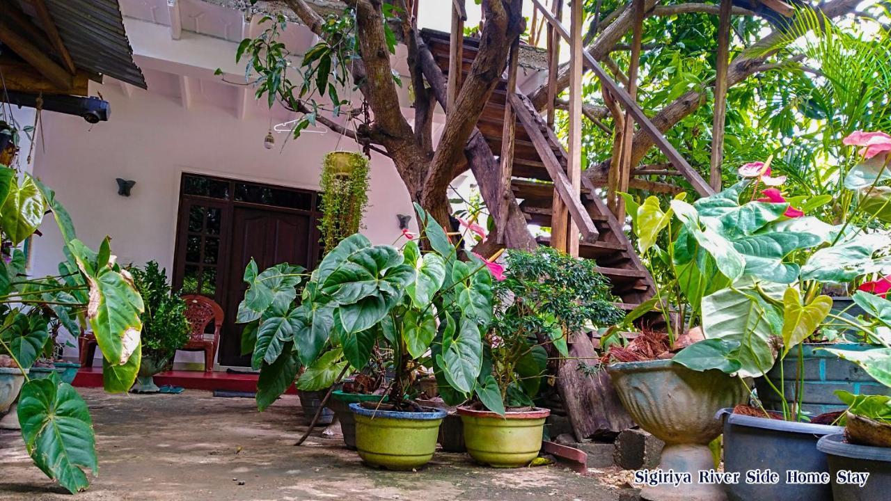 Sigiriya River Side Home Stay Dış mekan fotoğraf