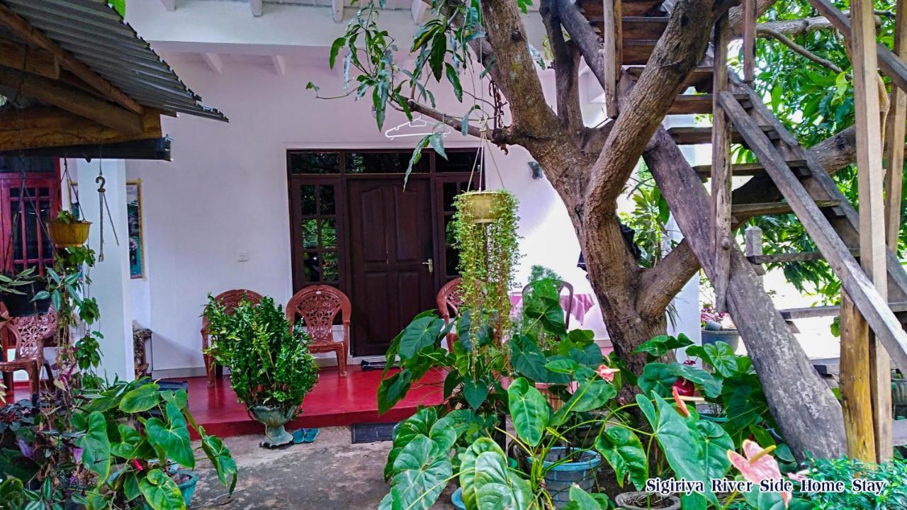 Sigiriya River Side Home Stay Dış mekan fotoğraf
